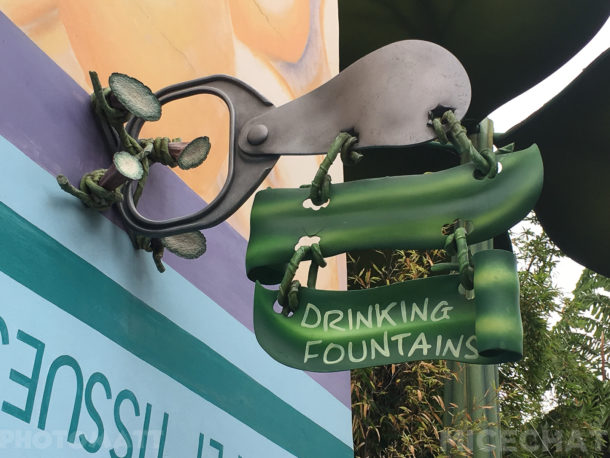, Disneyland Update – Friends Until The End