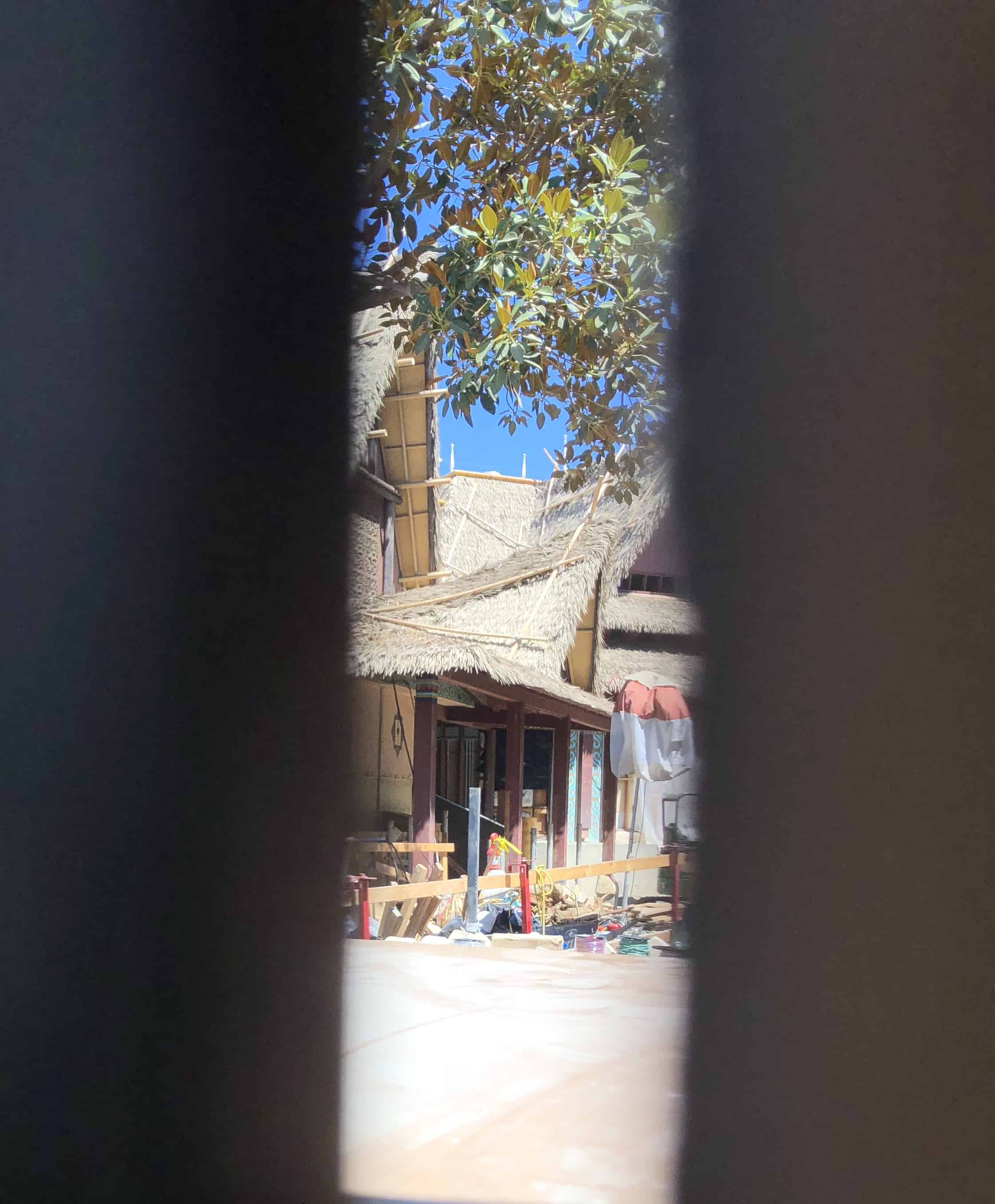 , Disneyland Update – Monorail Blues and Wall-O-Ween
