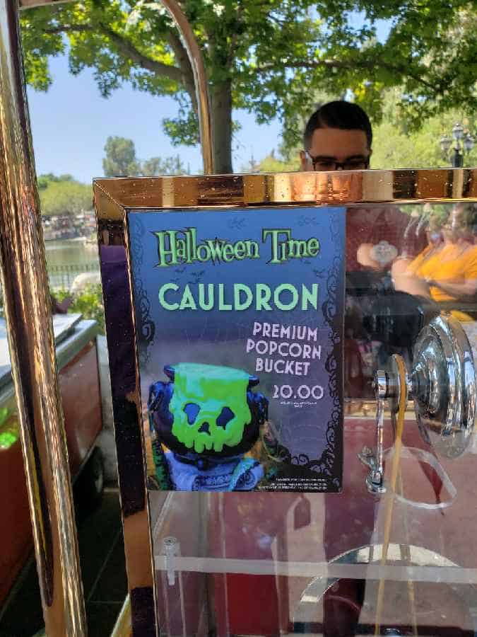 , Disneyland Update – Fall in Line