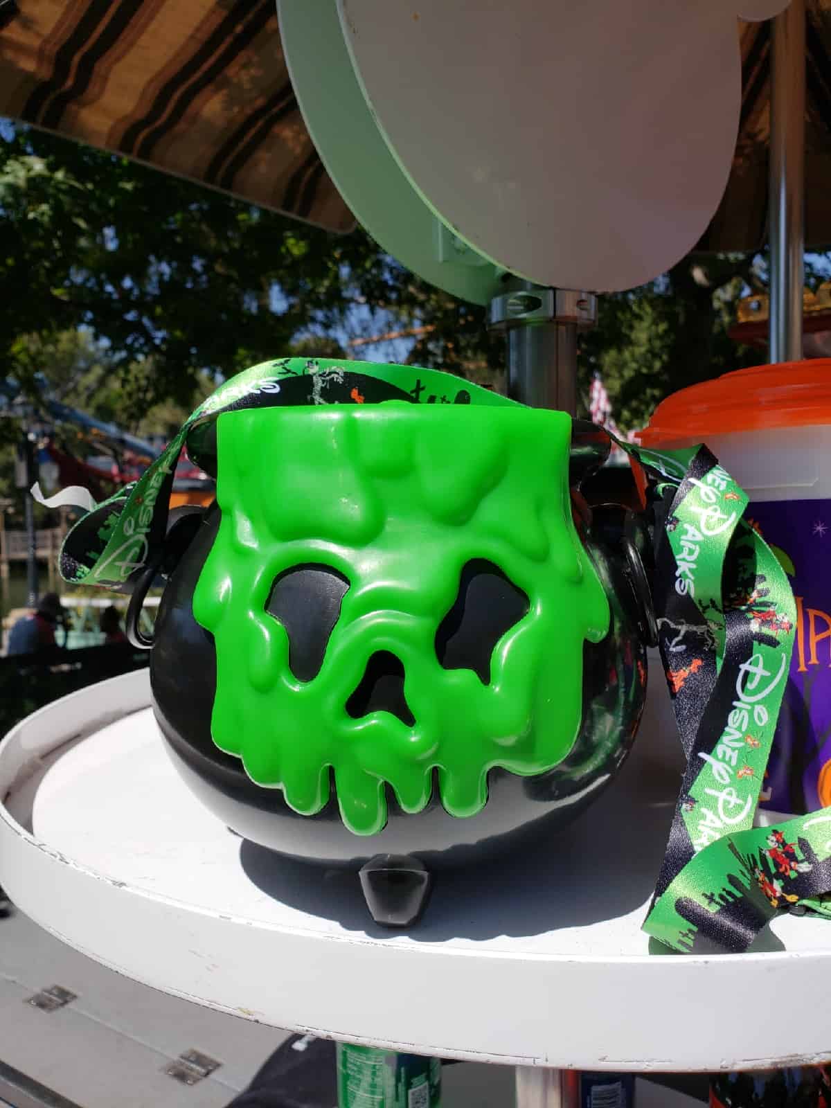 , Disneyland Update – Fall in Line