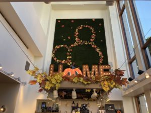 , Disneyland Resort Update &#8211; It&#8217;s Halloween Time