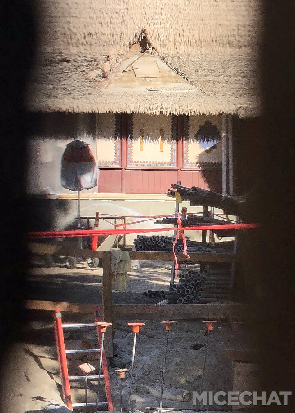 , Disneyland Update – Fall in Line