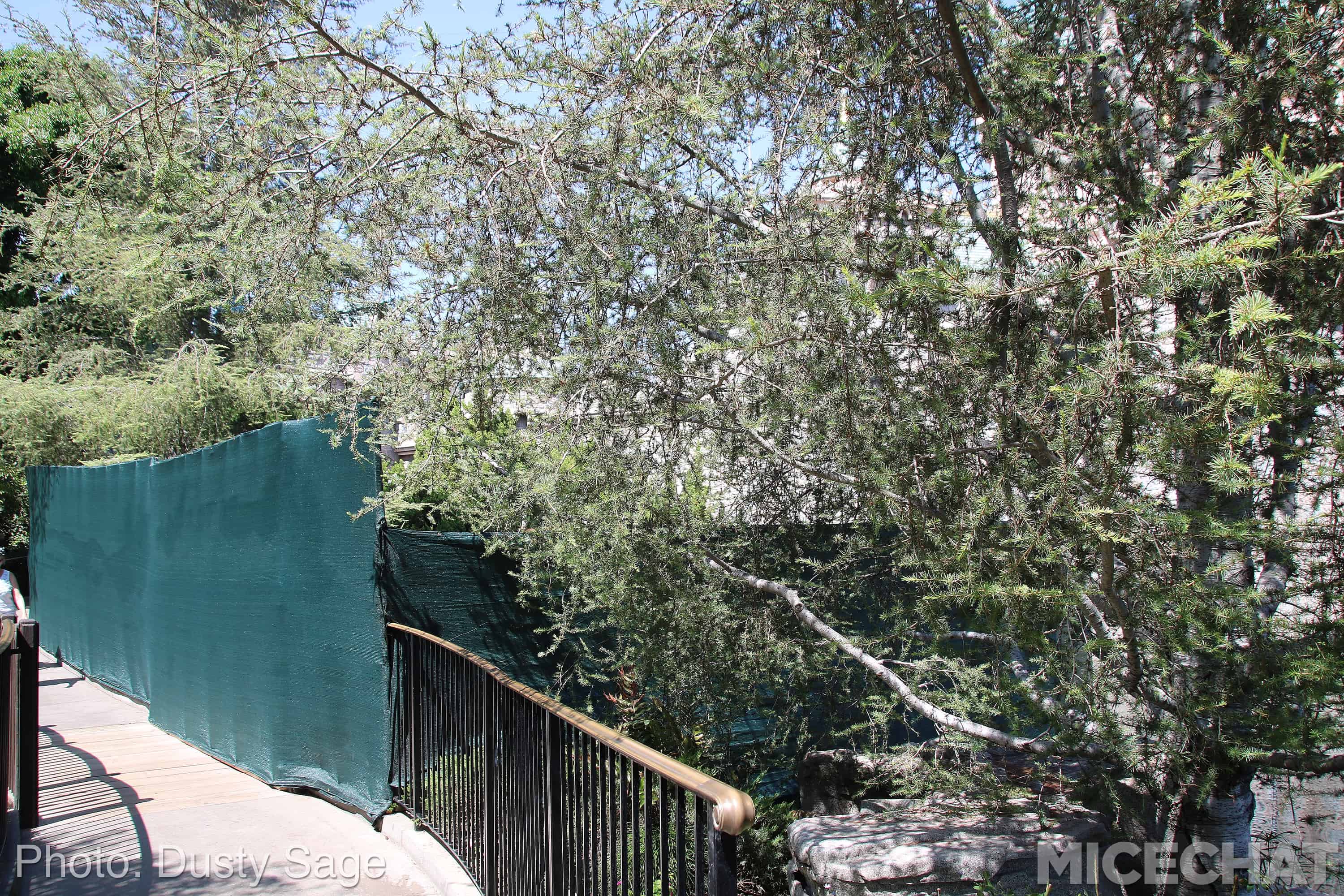 , Disneyland Update – Monorail Blues and Wall-O-Ween