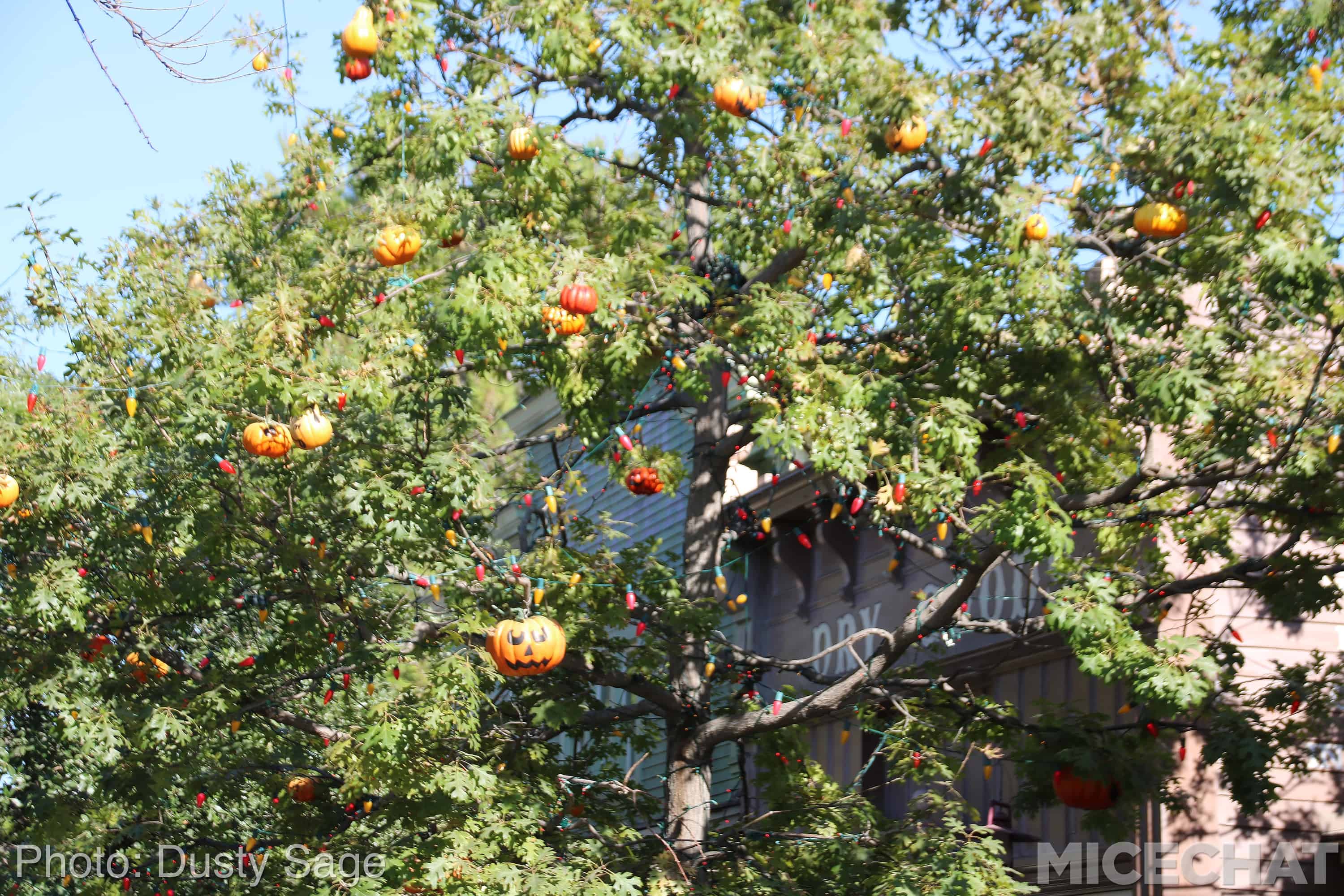 , Disneyland Resort Update &#8211; It&#8217;s Halloween Time