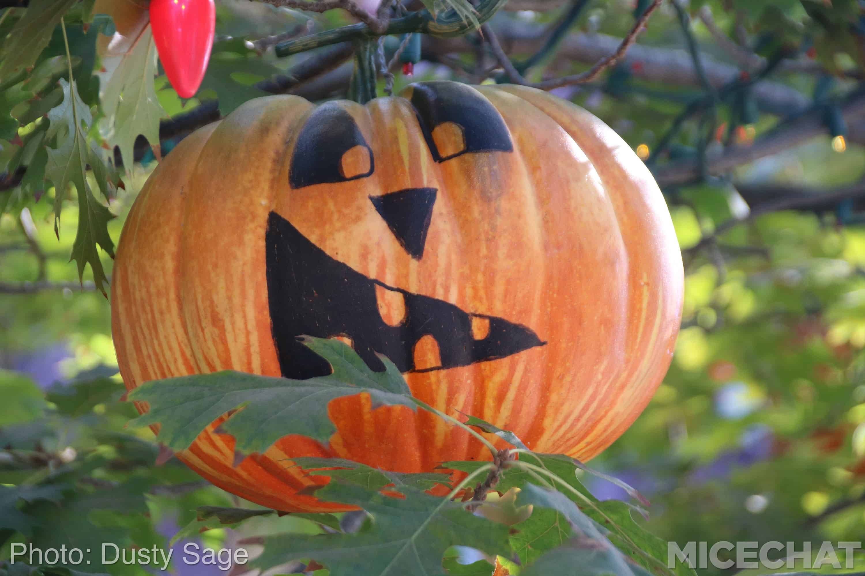 , Disneyland Resort Update &#8211; It&#8217;s Halloween Time