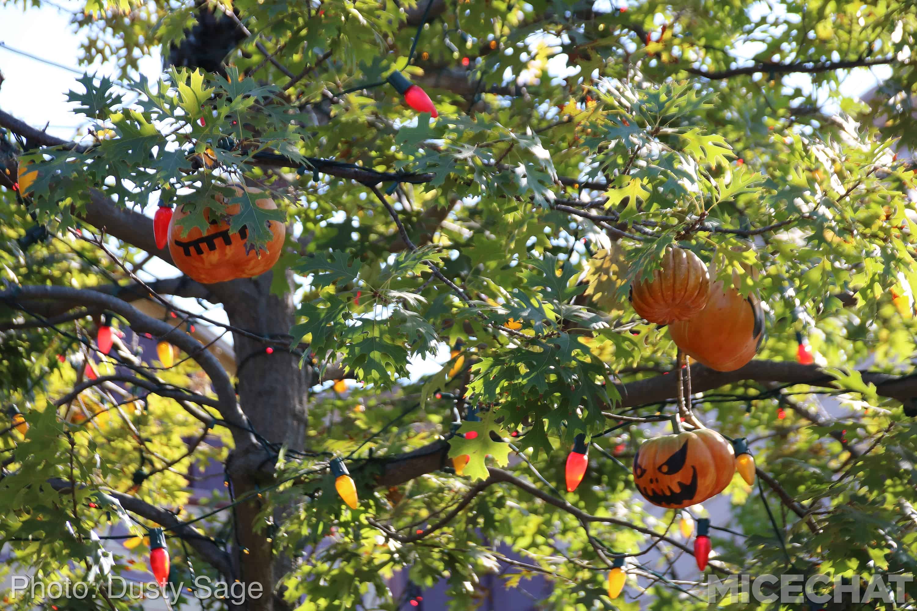 , Disneyland Resort Update &#8211; It&#8217;s Halloween Time