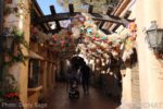 Photo_1166-Disneyland