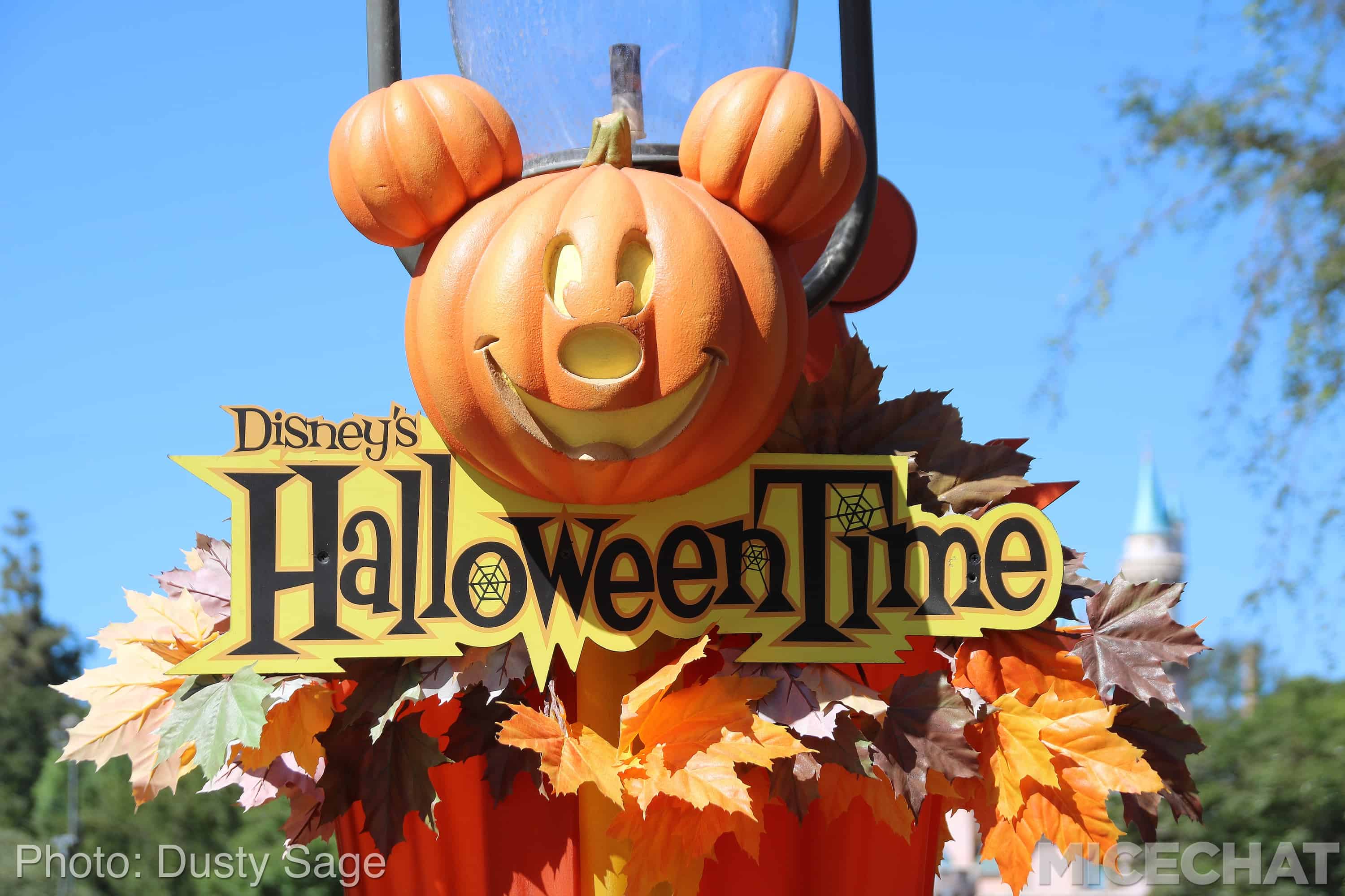 , Disneyland News and Photo Update – The Walls of Change