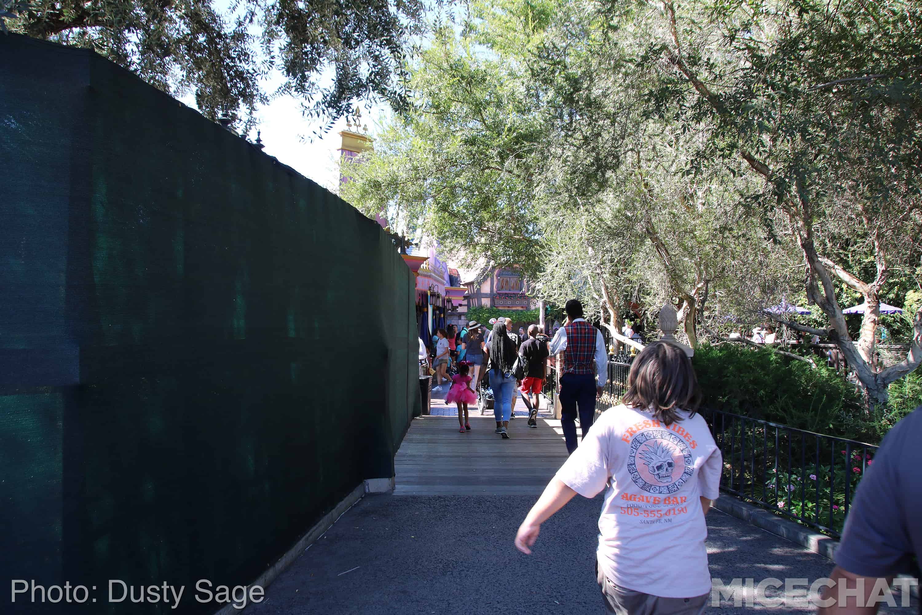 , Disneyland News and Photo Update – The Walls of Change