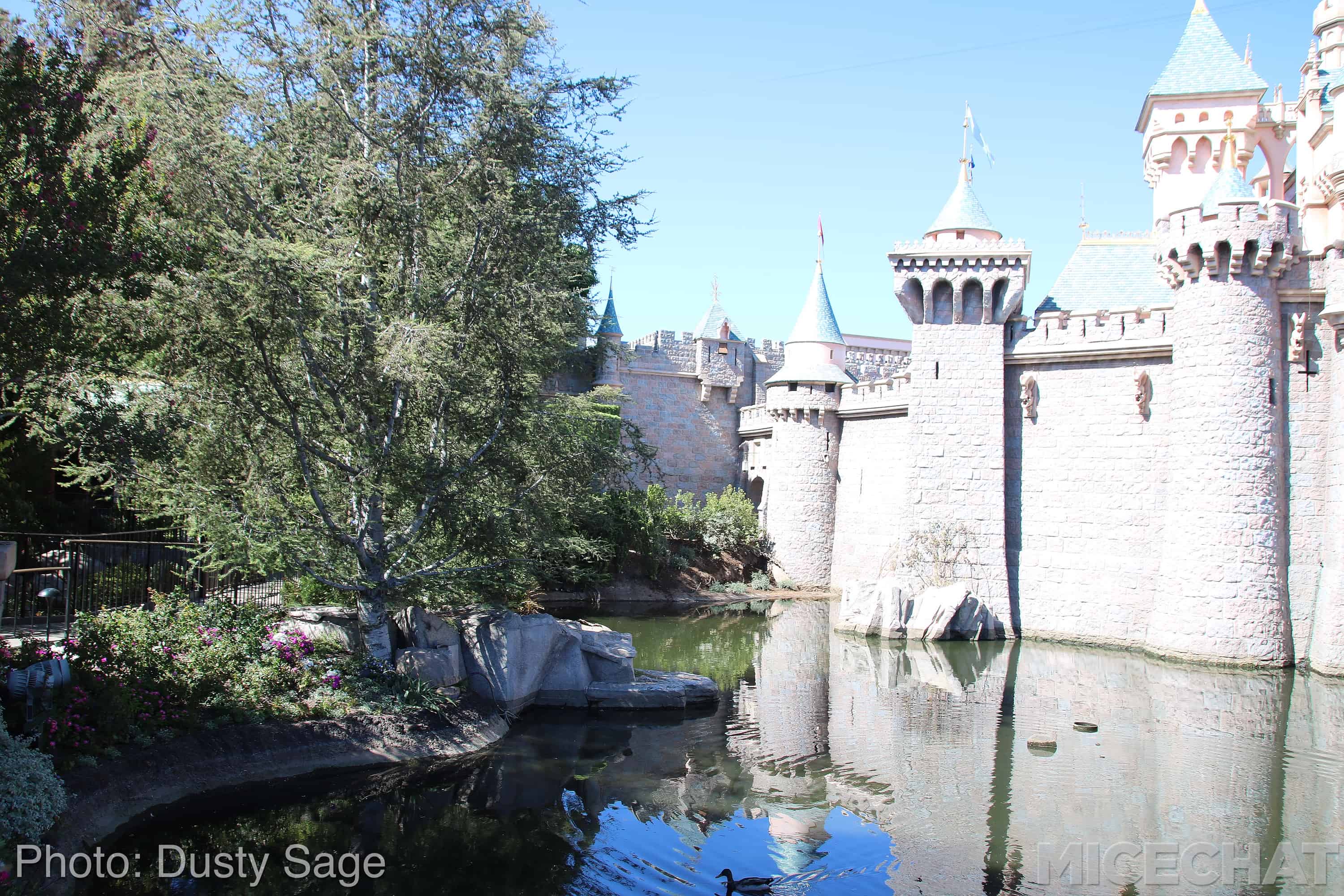 , Disneyland News and Photo Update – The Walls of Change