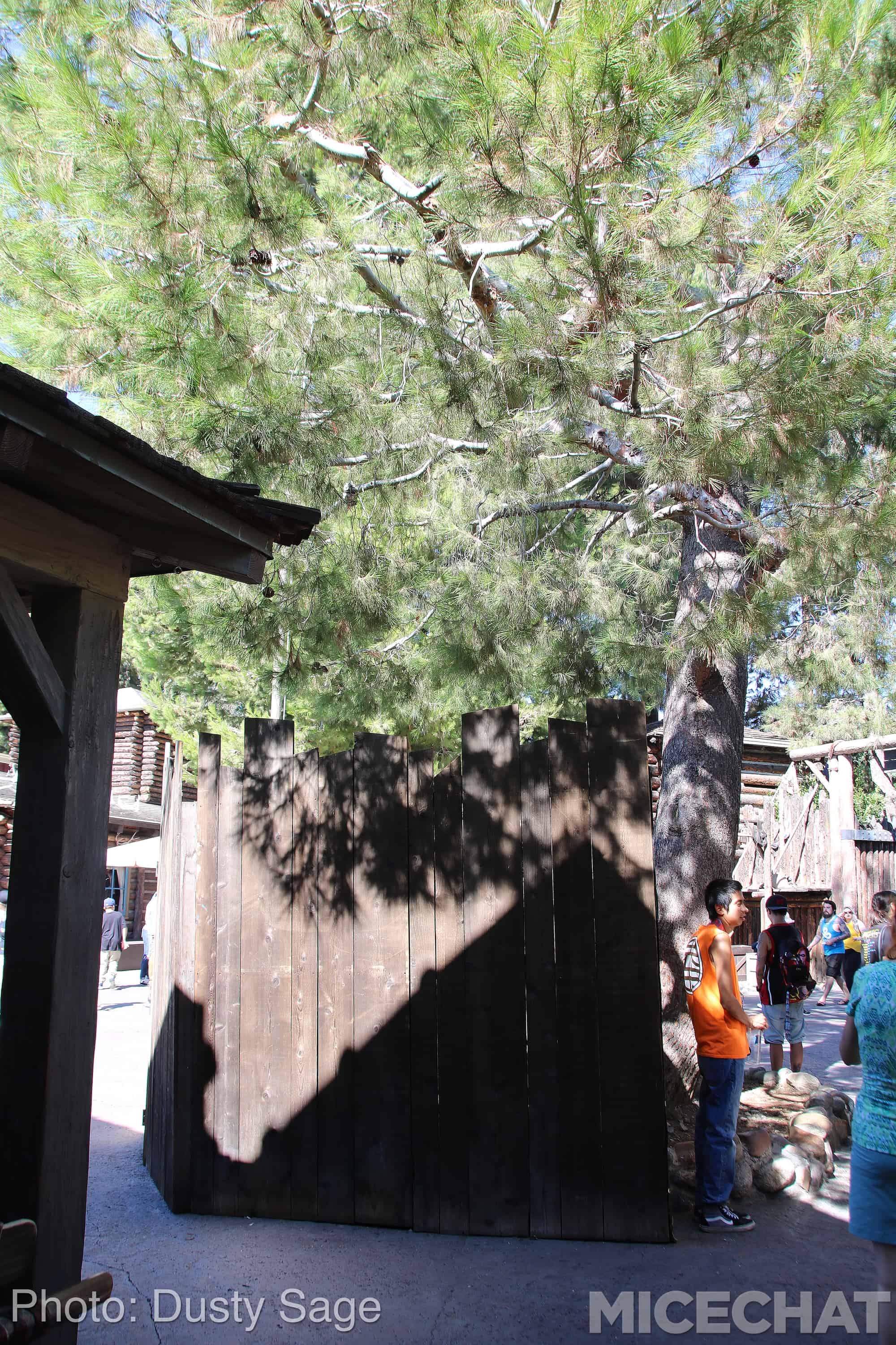 , Disneyland News and Photo Update &#8211; The Walls of Change