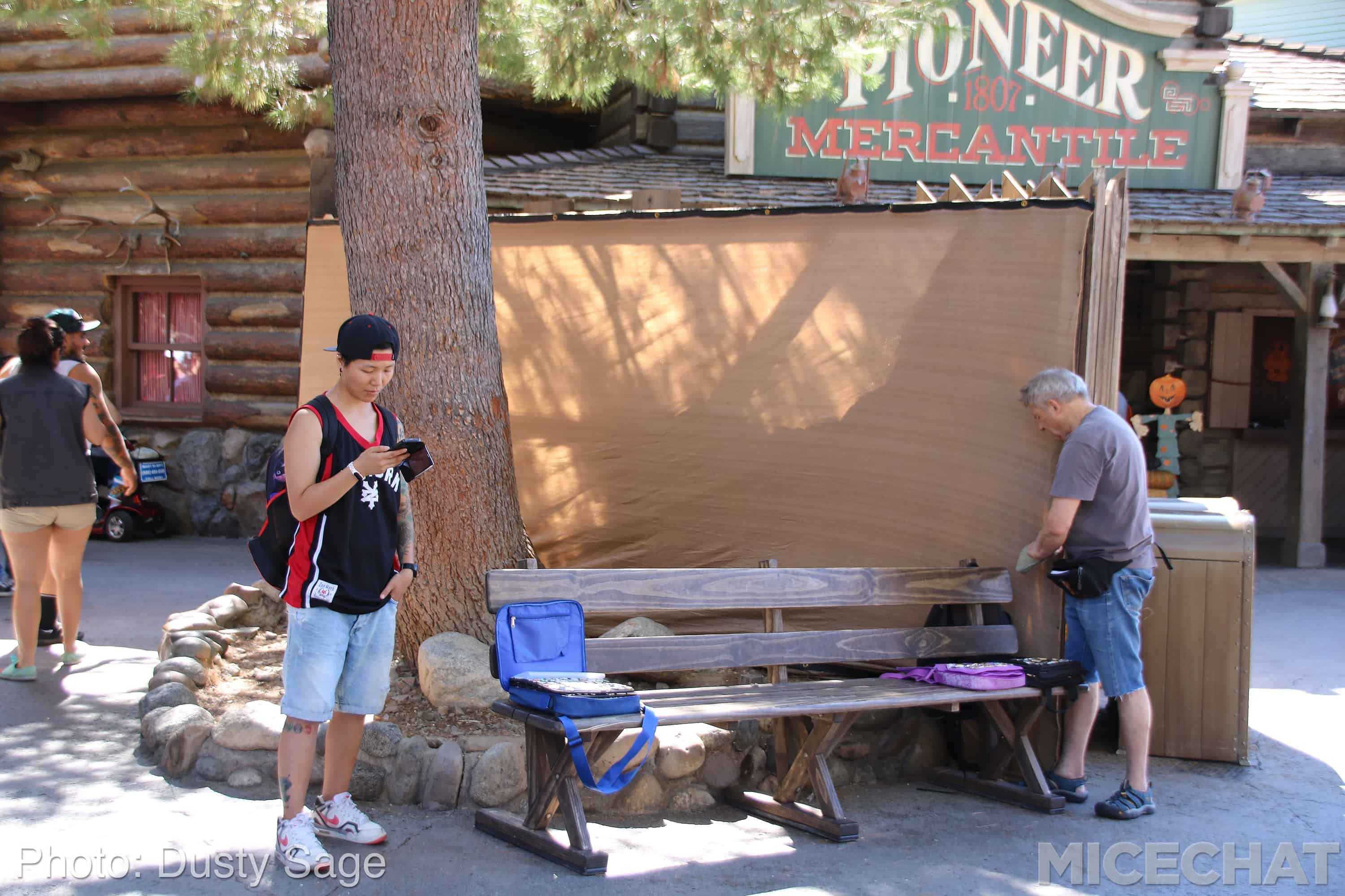 , Disneyland News and Photo Update &#8211; The Walls of Change