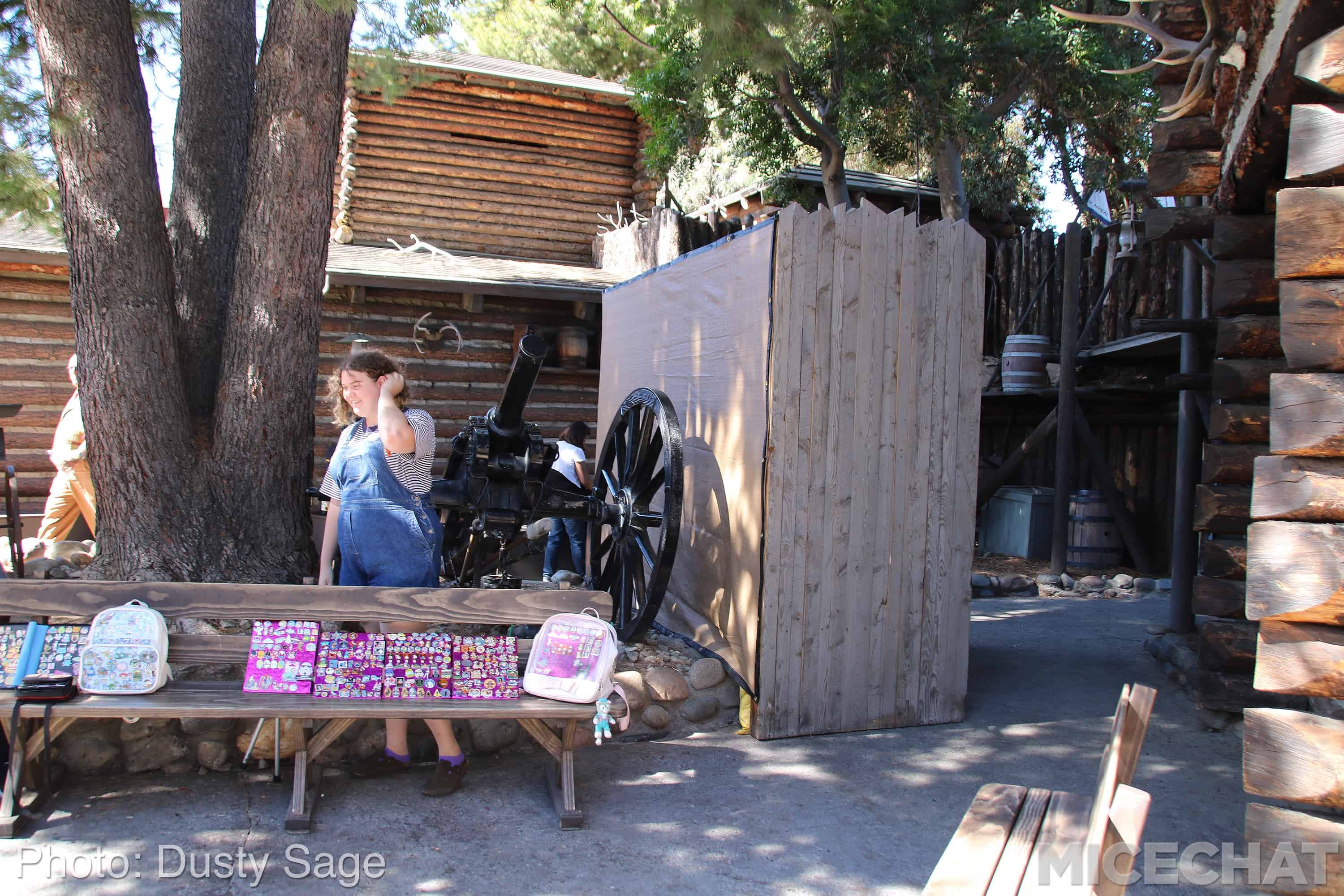, Disneyland News and Photo Update – The Walls of Change