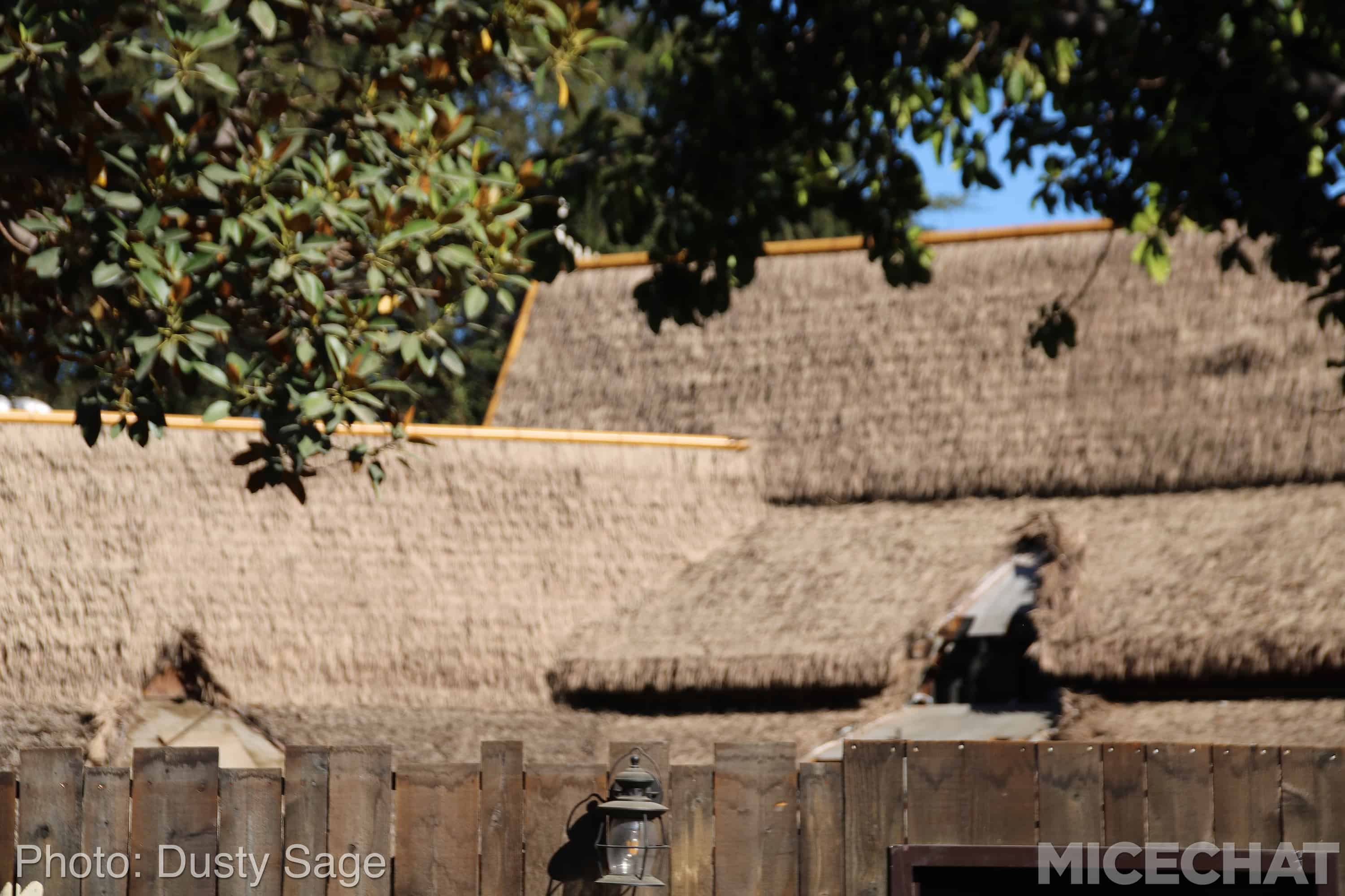, Disneyland News and Photo Update – The Walls of Change