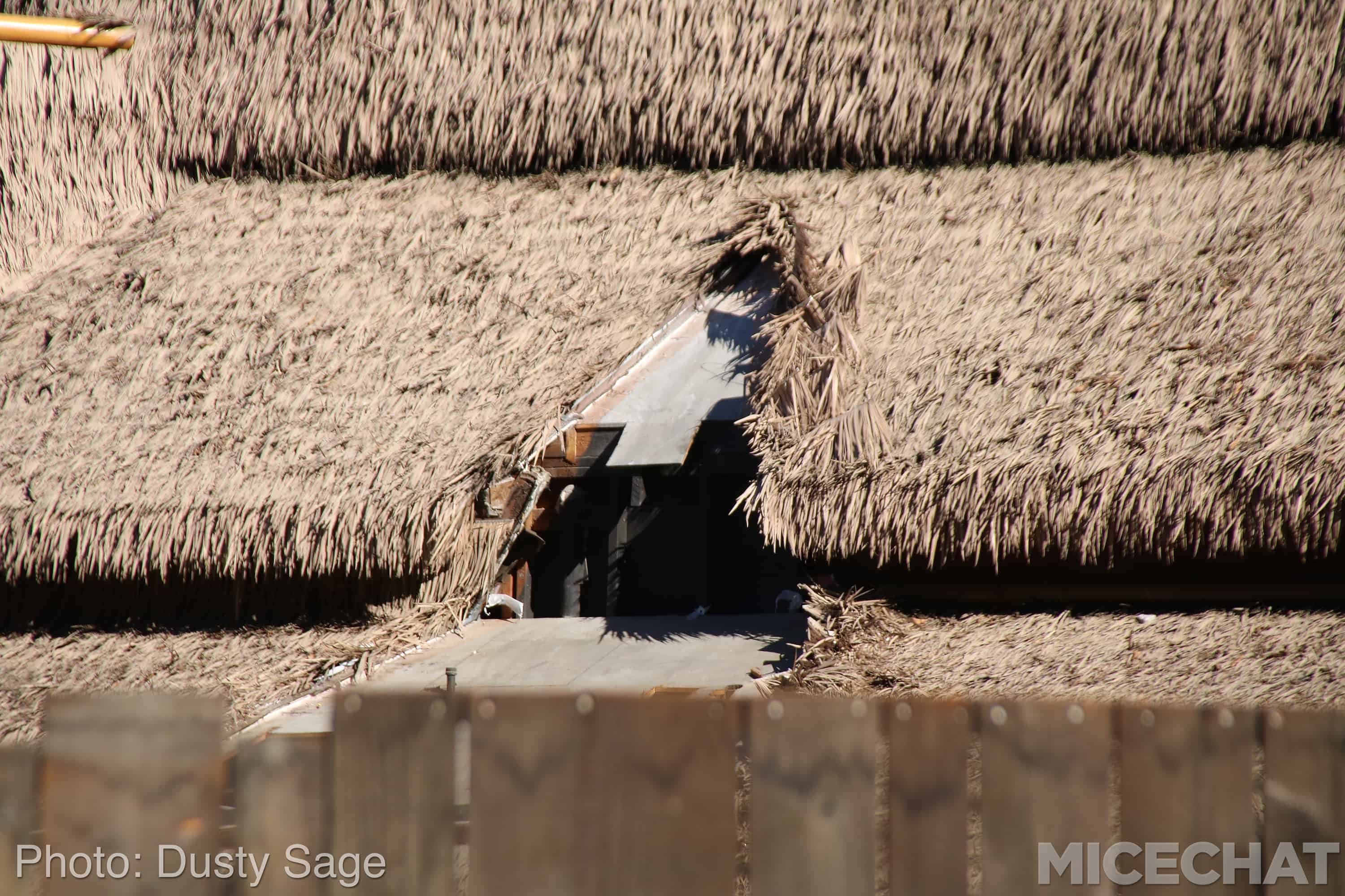 , Disneyland News and Photo Update – The Walls of Change