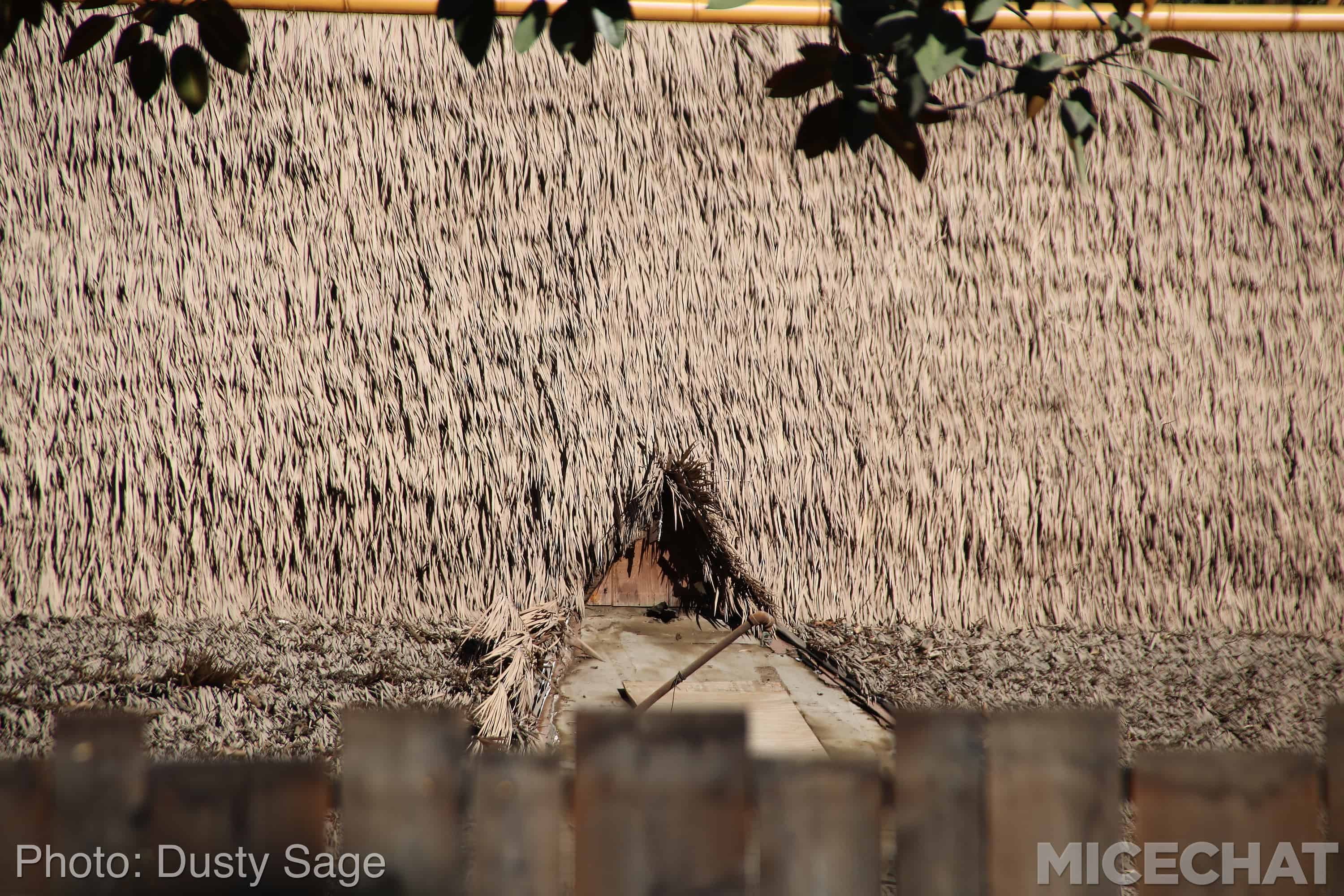 , Disneyland News and Photo Update – The Walls of Change
