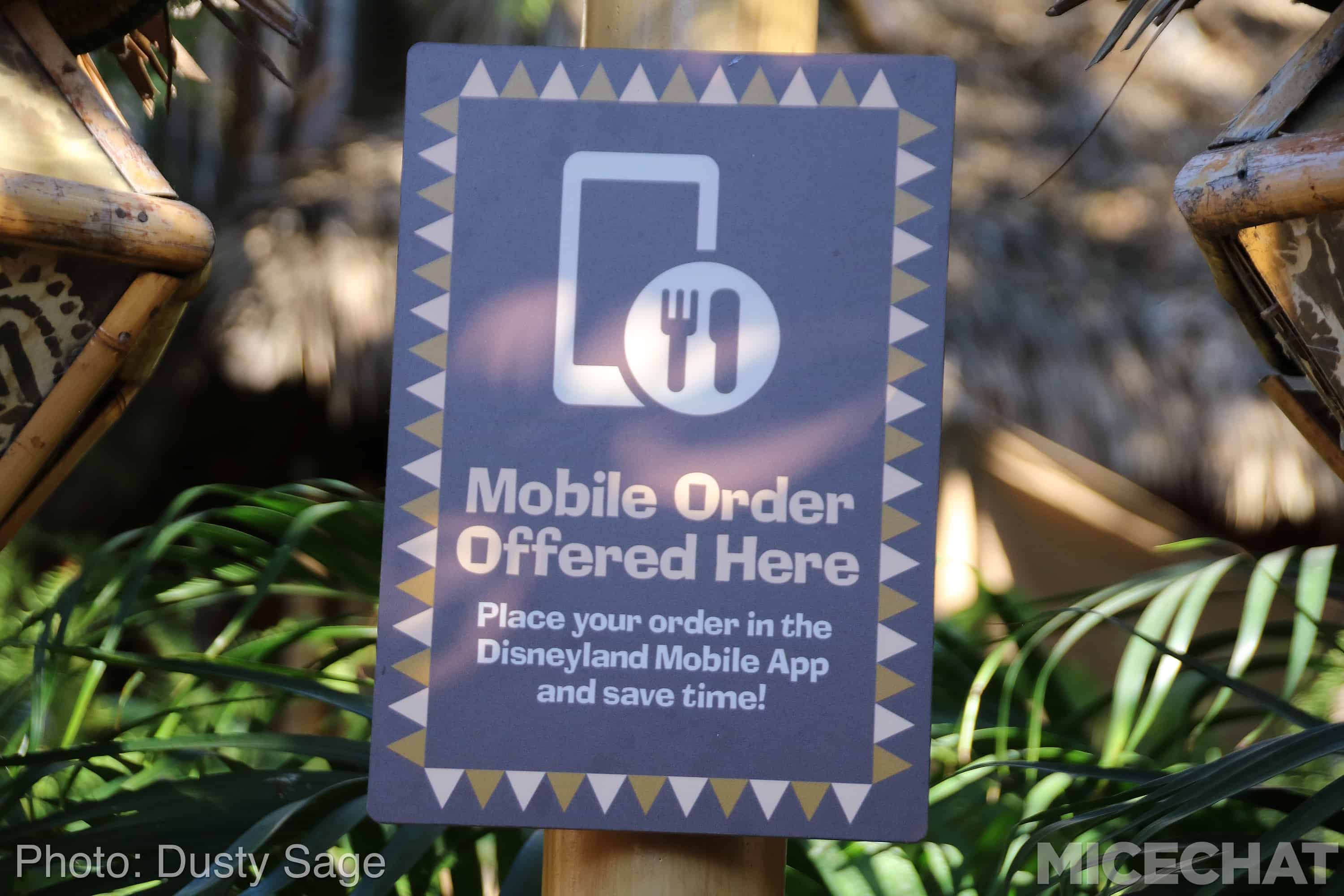 , Disneyland News and Photo Update – The Walls of Change