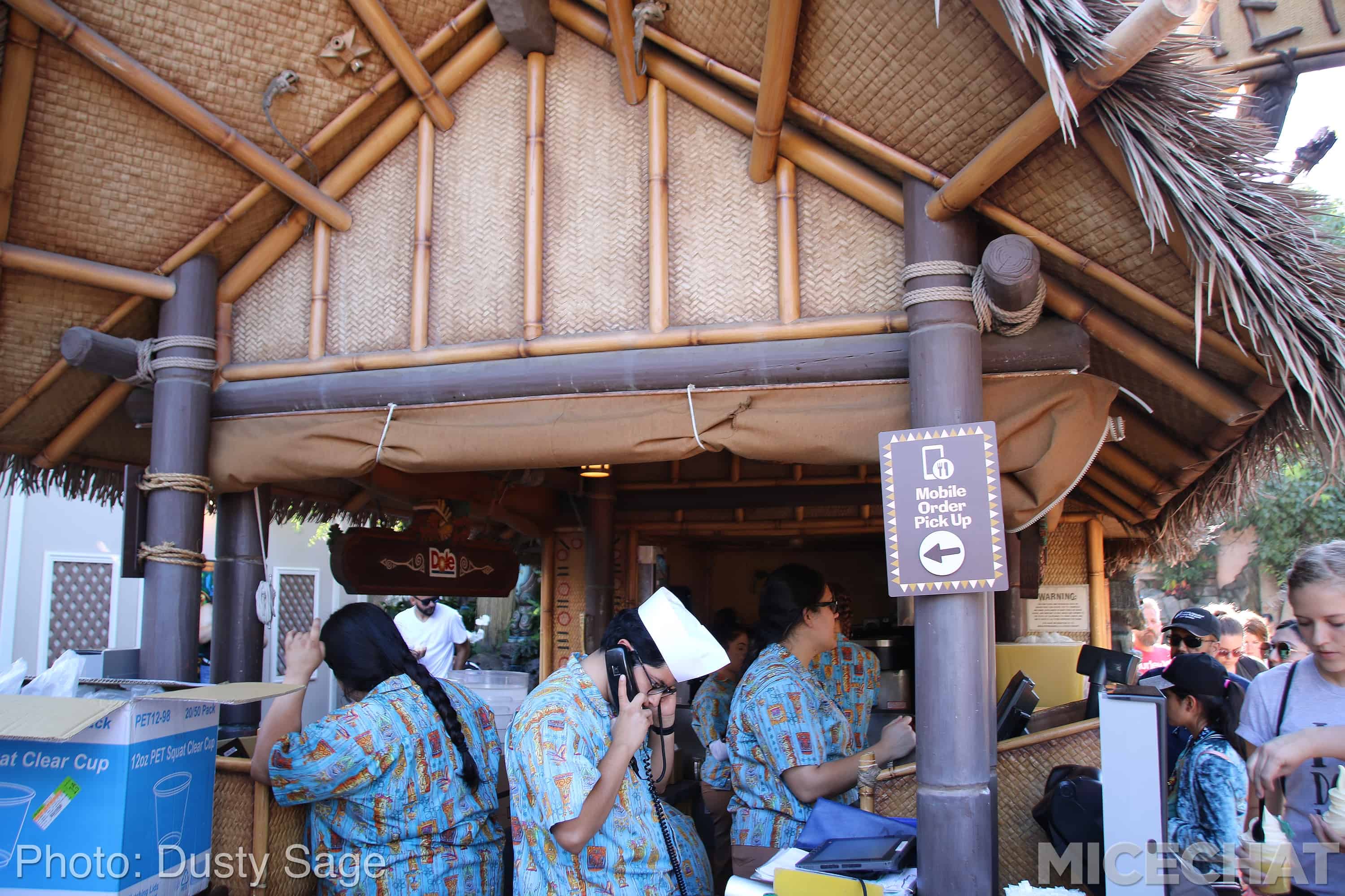 , Disneyland News and Photo Update – The Walls of Change