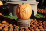 Photo_1600-Disneyland