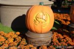 Photo_1601-Disneyland