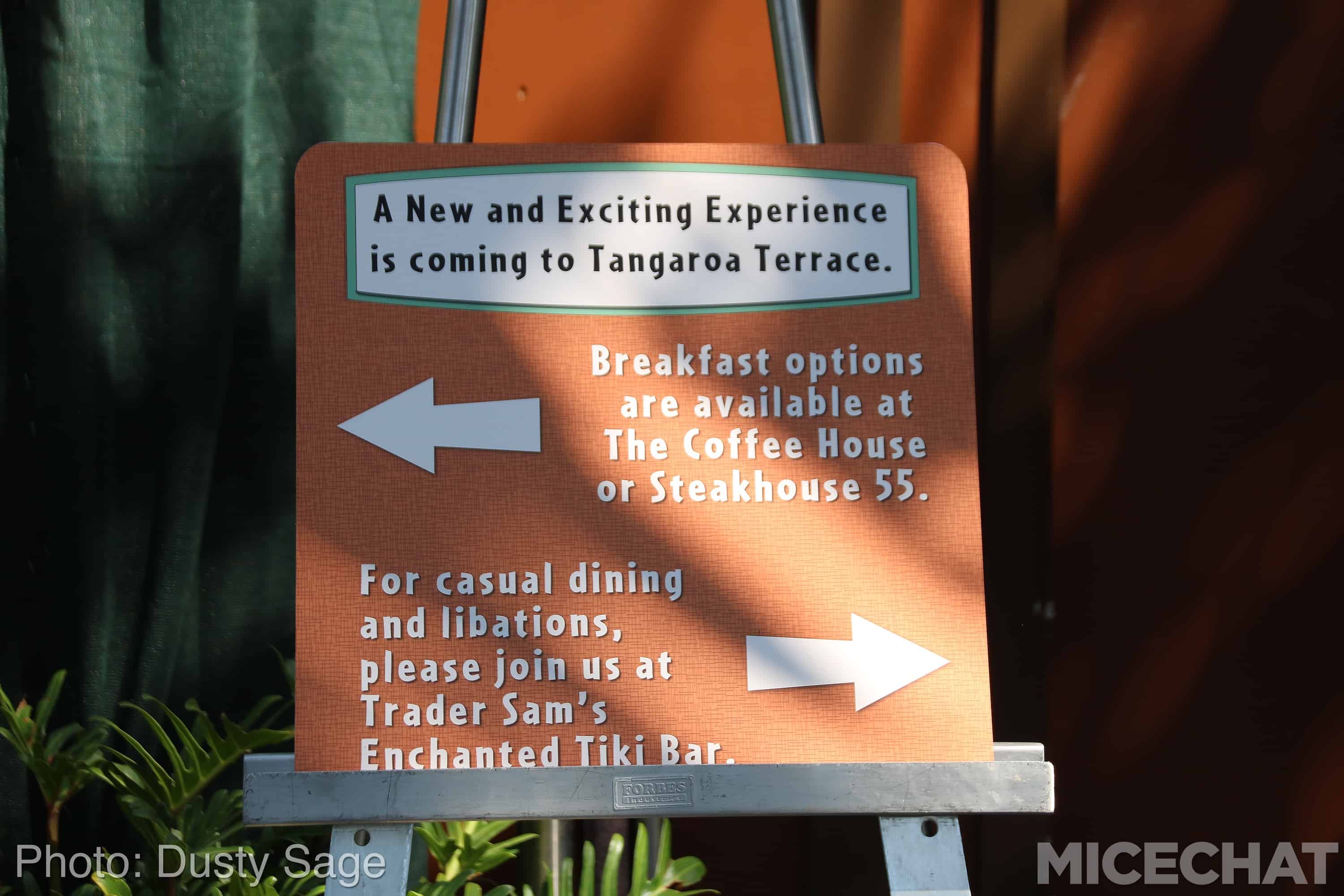 , Disneyland Update – Fall in Line
