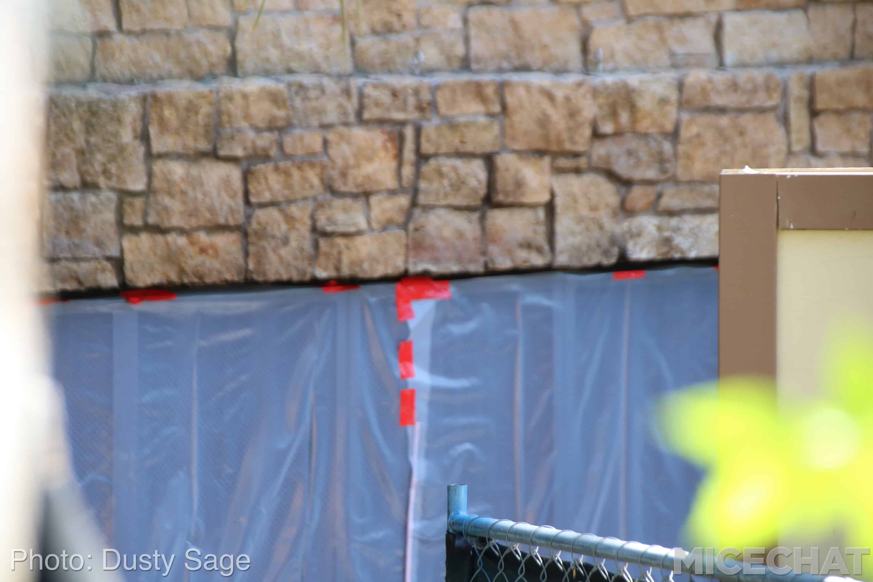 , Disneyland Update – Fall in Line