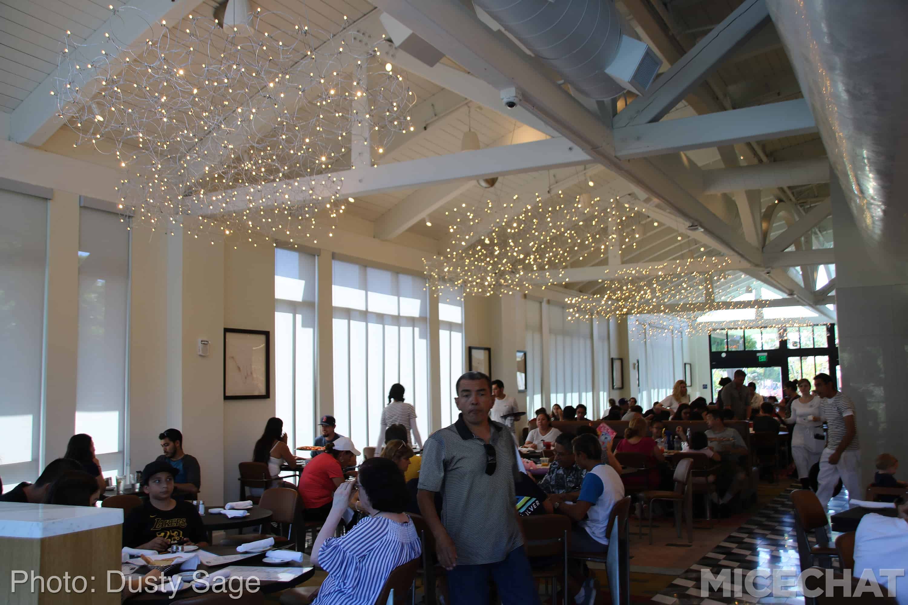 , Disneyland Update – Fall in Line
