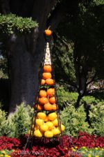 Photo_1691-Disneyland