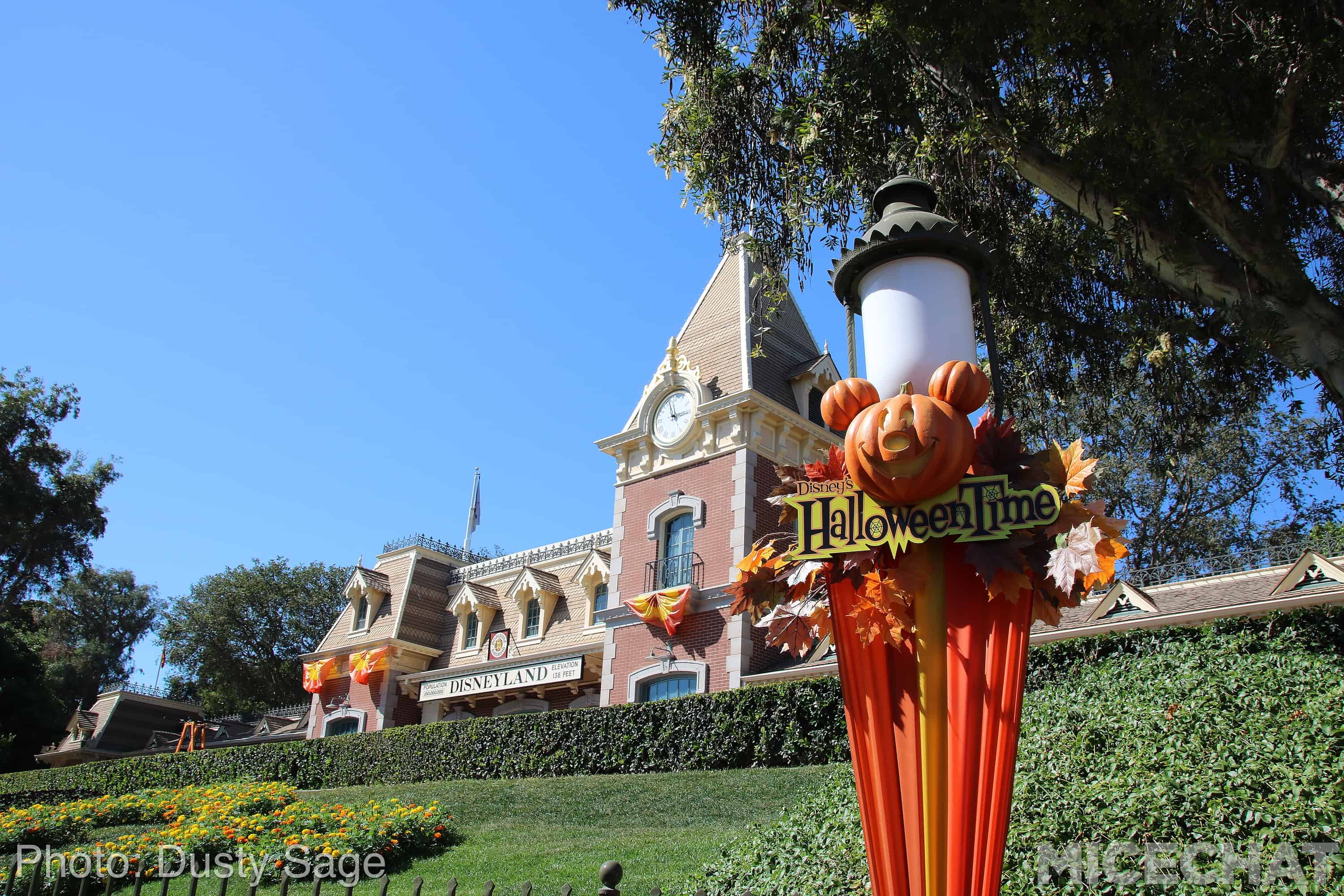 , Disneyland Update – Fall in Line