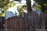 Photo_1774-Disneyland