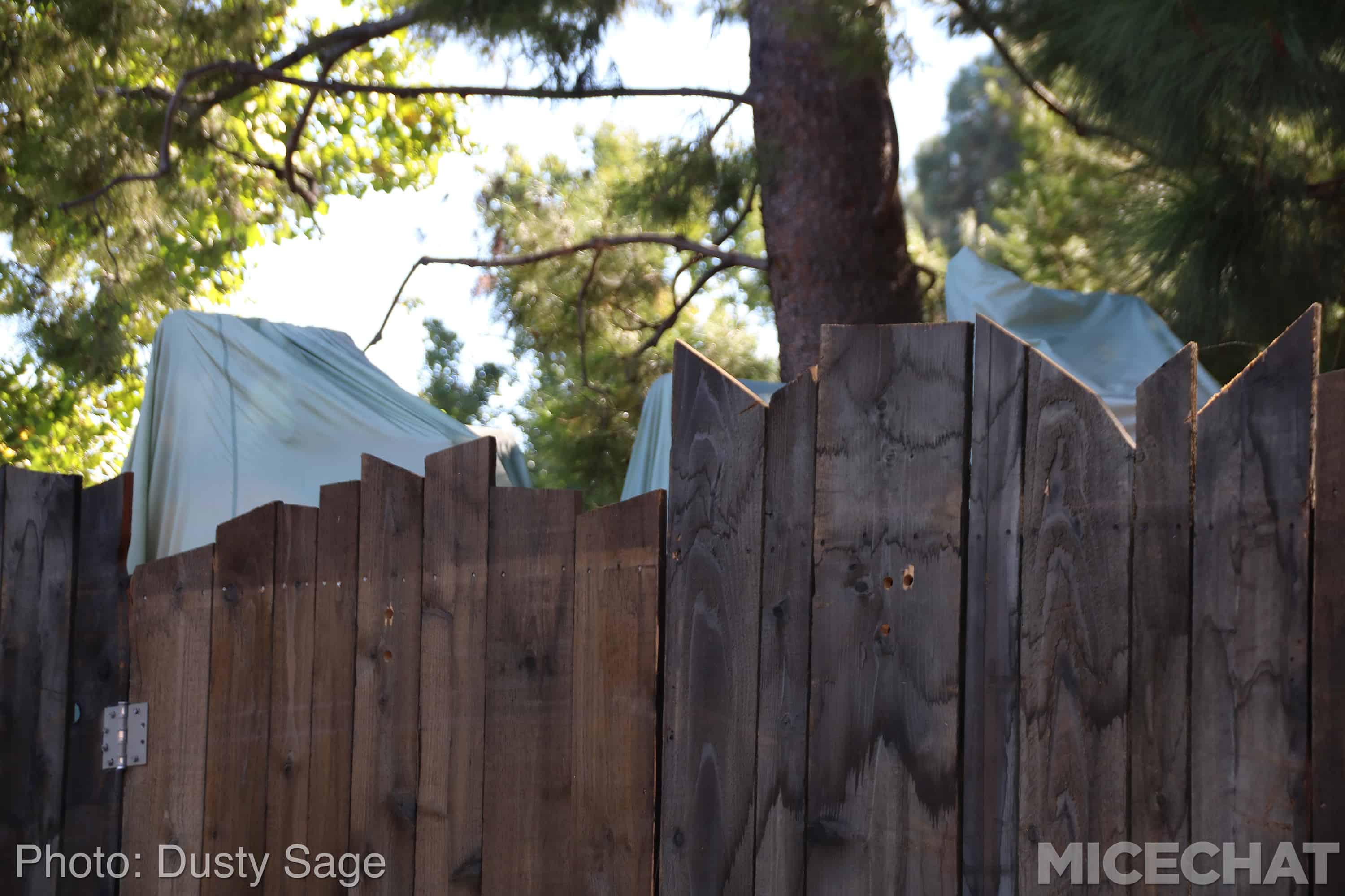 , Disneyland Update – Fall in Line