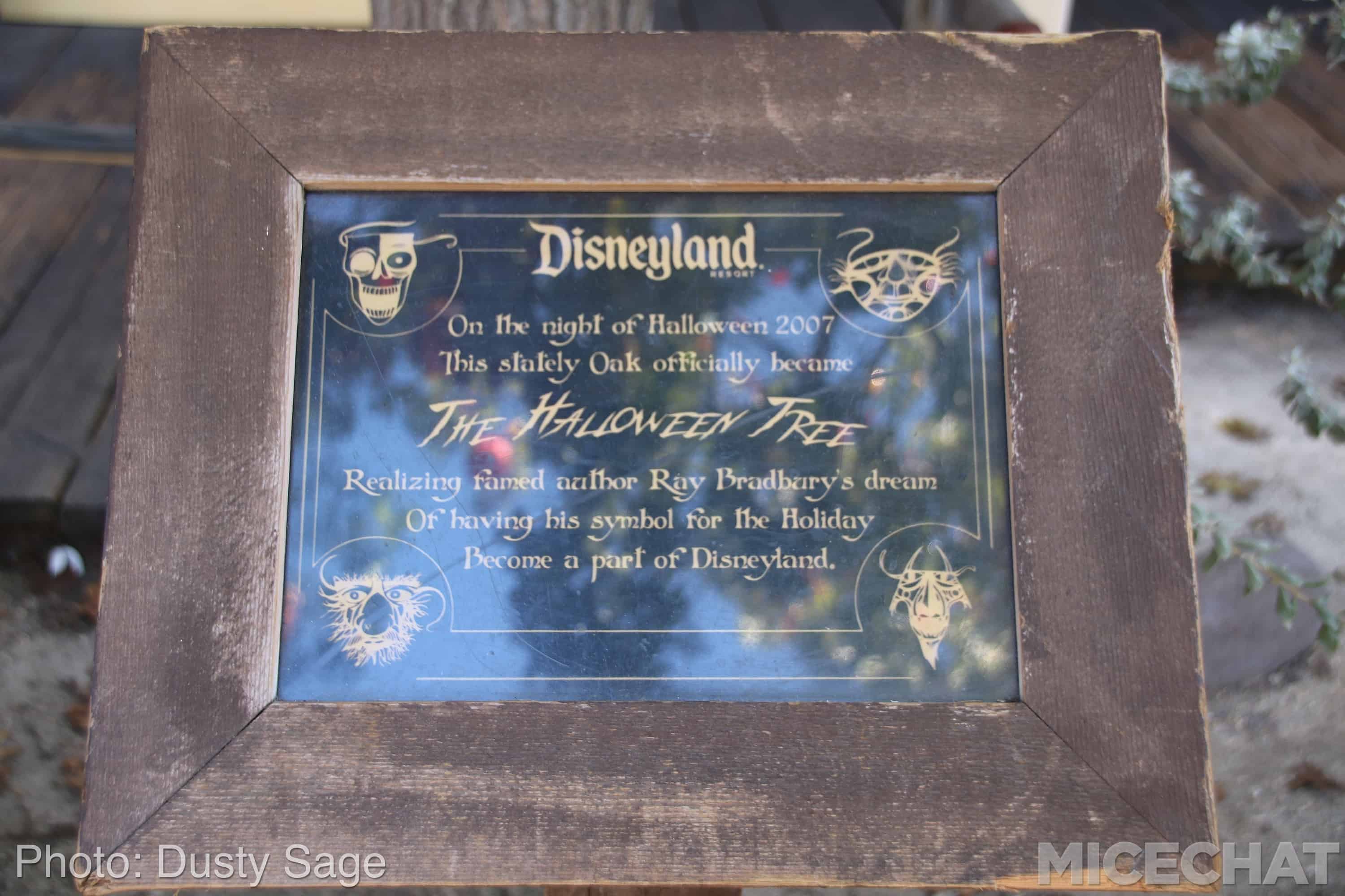 , Disneyland Update – Fall in Line