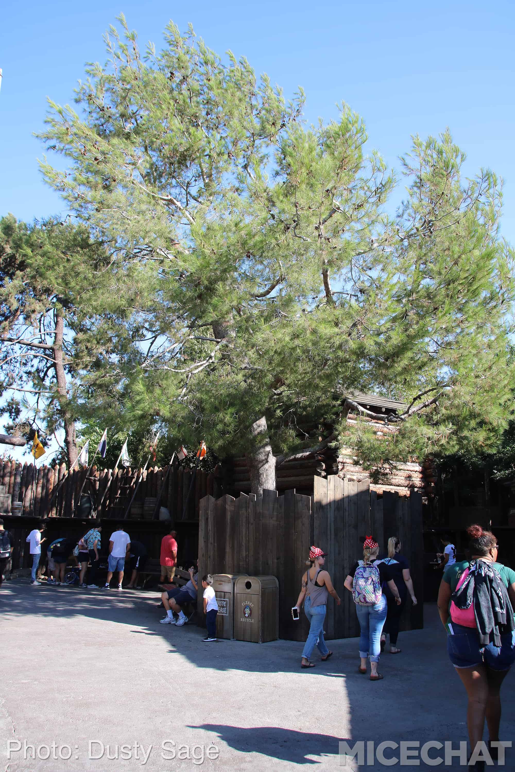 , Disneyland Update – Fall in Line