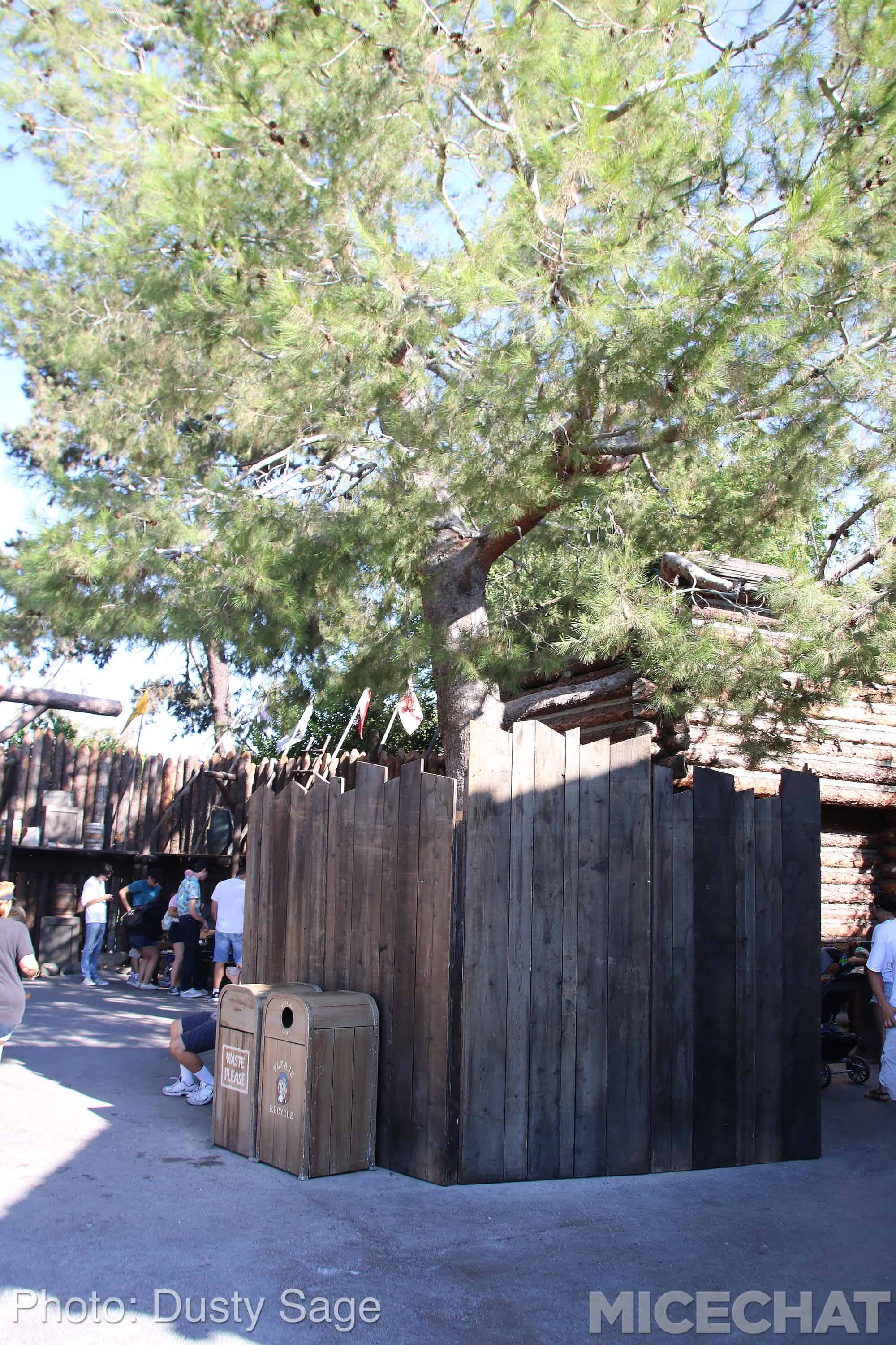 , Disneyland Update – Fall in Line