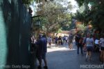 Photo_1787-Disneyland