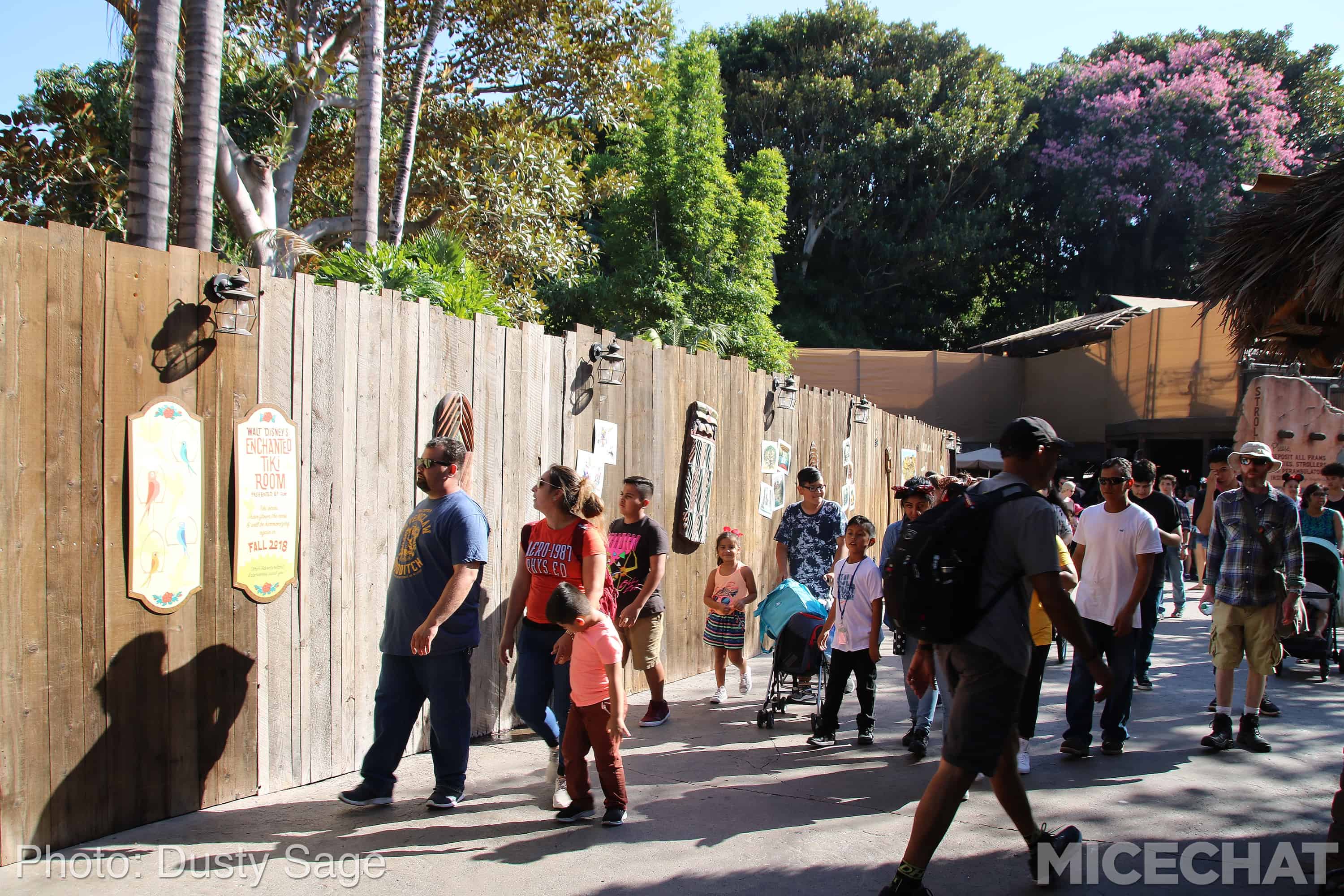 , Disneyland Update – Fall in Line