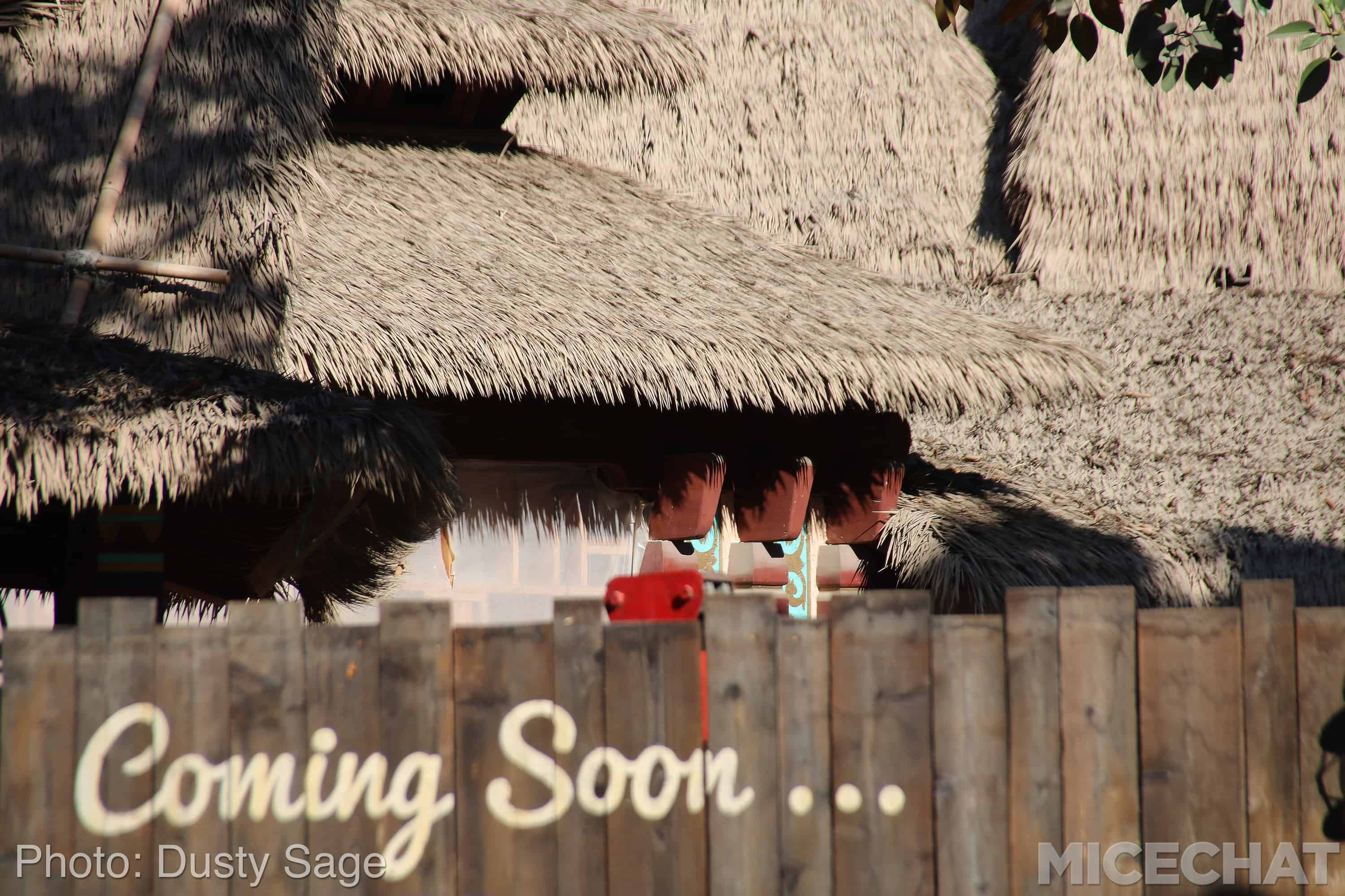, Disneyland Update – Fall in Line
