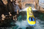 Photo_1811-Disneyland