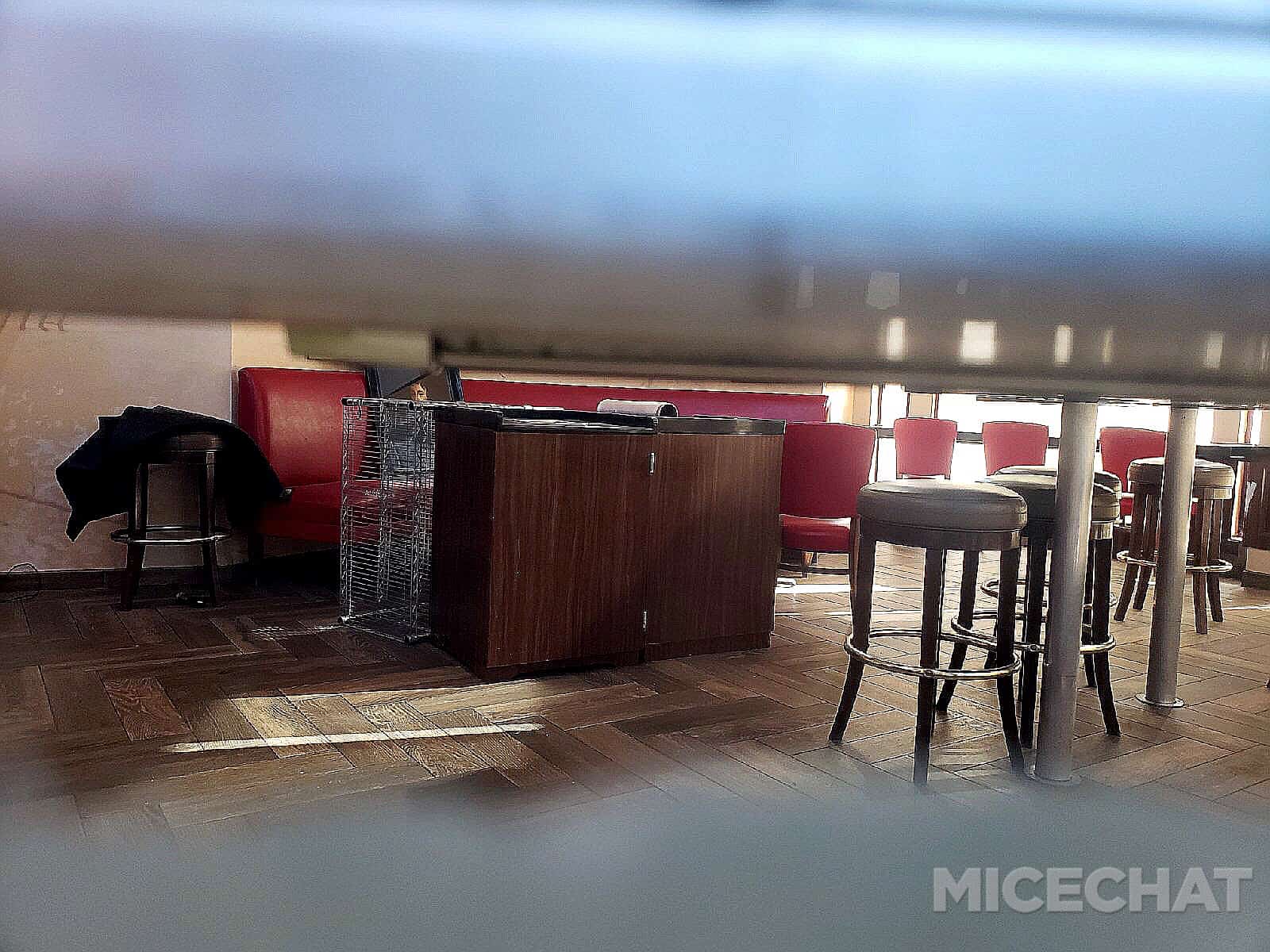 , Disneyland News and Photo Update – The Walls of Change