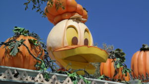 , Disneyland Photo Updates: Fall Into Construction Walls