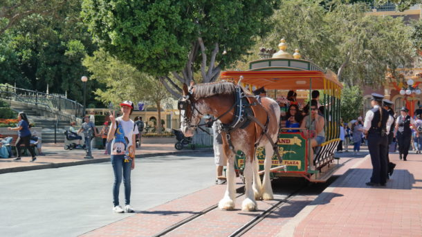 , Disneyland Photo Updates: Fall Into Construction Walls