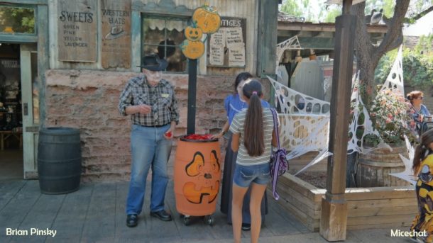 , Knott’s Spooky Farm Update: Halloween Wrap Up