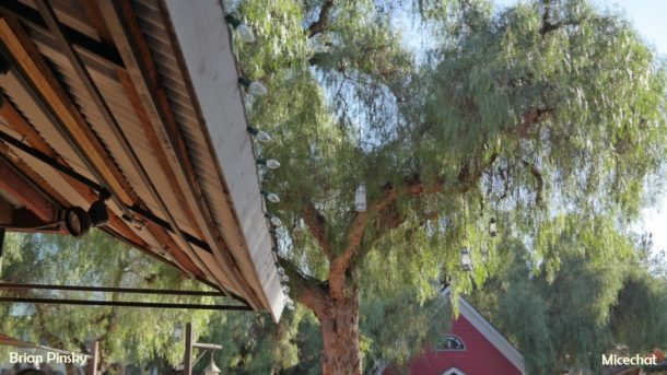 , Knott’s Spooky Farm Update: Halloween Wrap Up