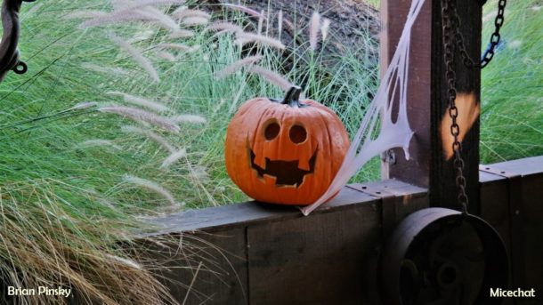 , Knott’s Spooky Farm Update: Halloween Wrap Up