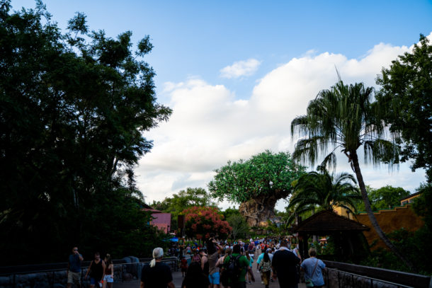 , Dateline Disney World – Closures and Construction