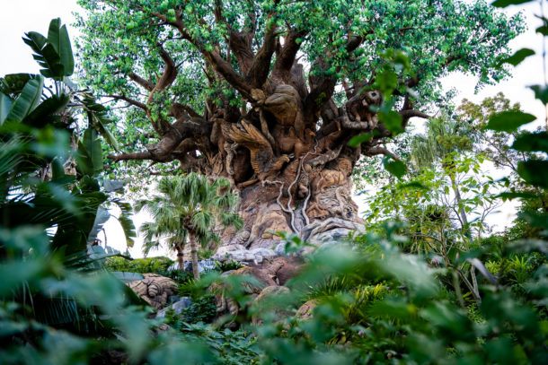 , Dateline Disney World – Closures and Construction