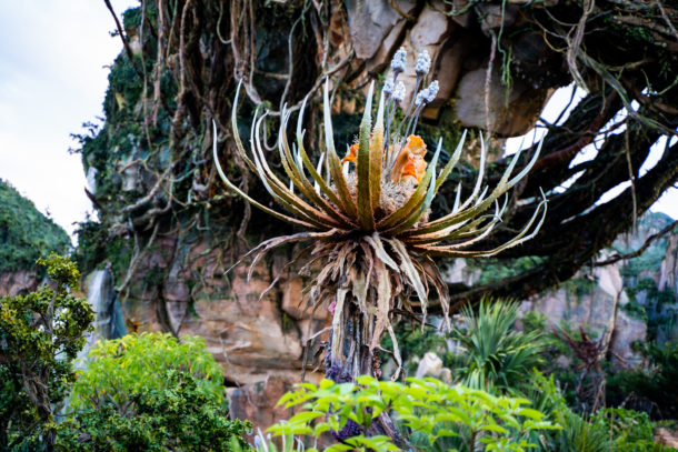 , Dateline Disney World – Closures and Construction