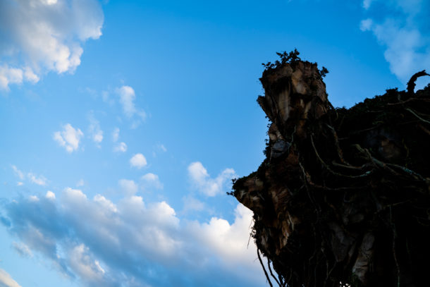 , Dateline Disney World – Closures and Construction