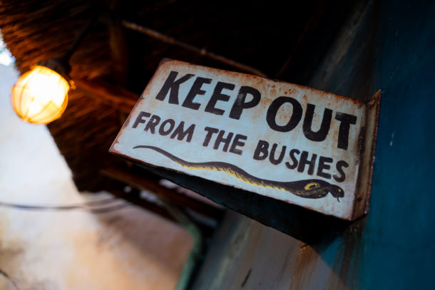 , Dateline Disney World – Closures and Construction