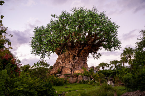 , Dateline Disney World – Closures and Construction
